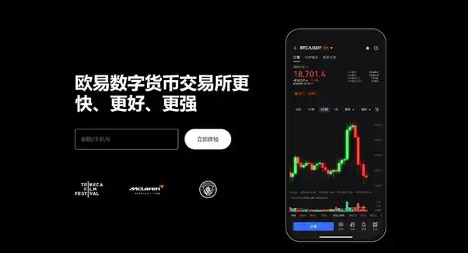 欧易官网平台展示图